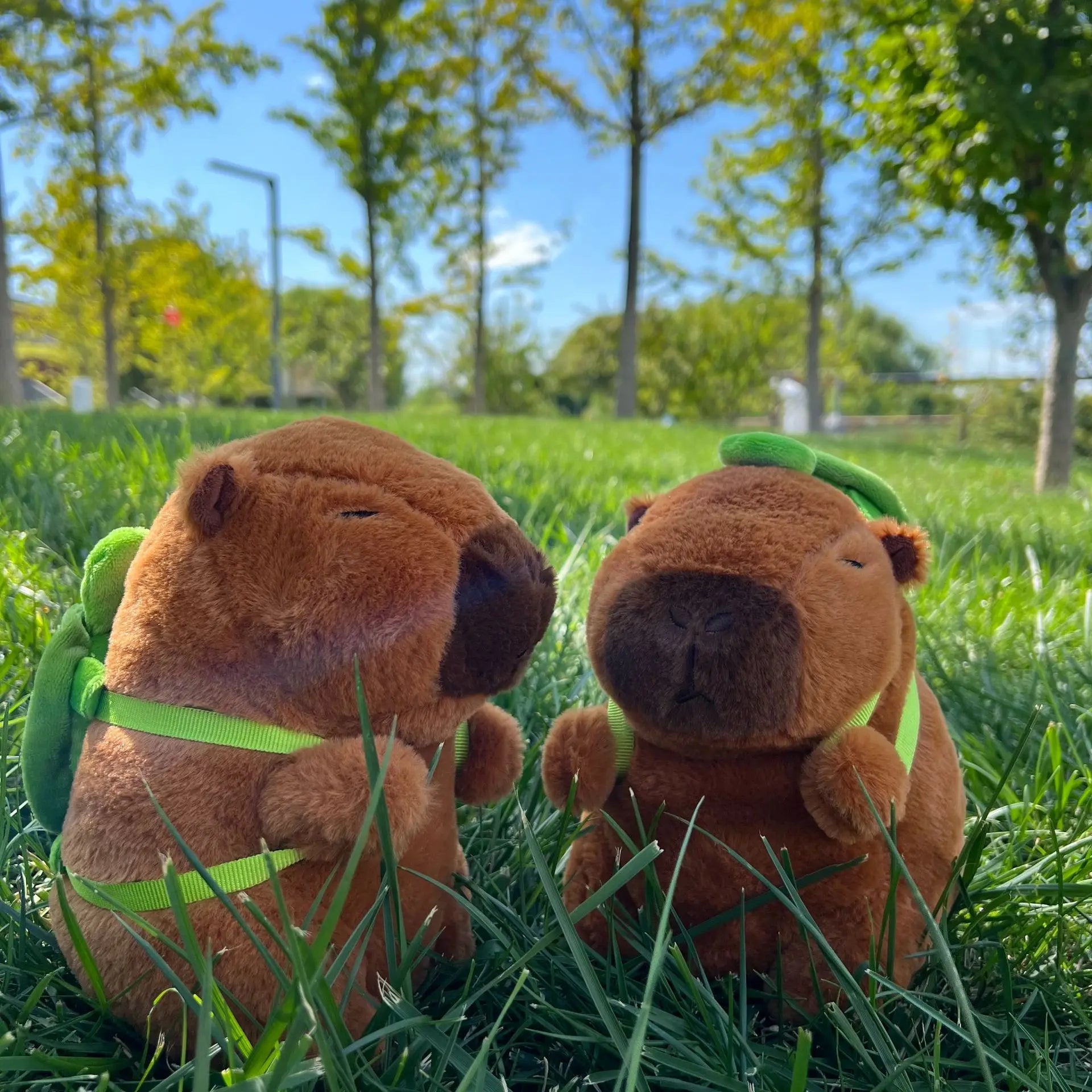 New 21cm Capybara Plush Toy - Image 5